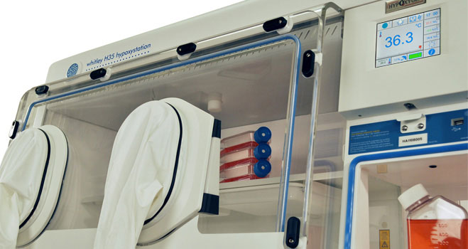 HypOxystation® Brand Hypoxic Workstations