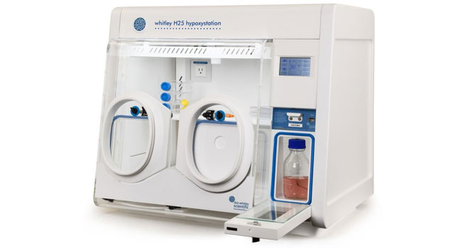 HypOxystation ® H25